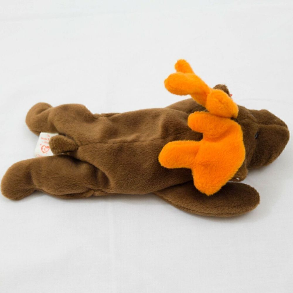 4th Generation Tag, Retired, Ty Chocolate (Moose) - Picture 5 of 8